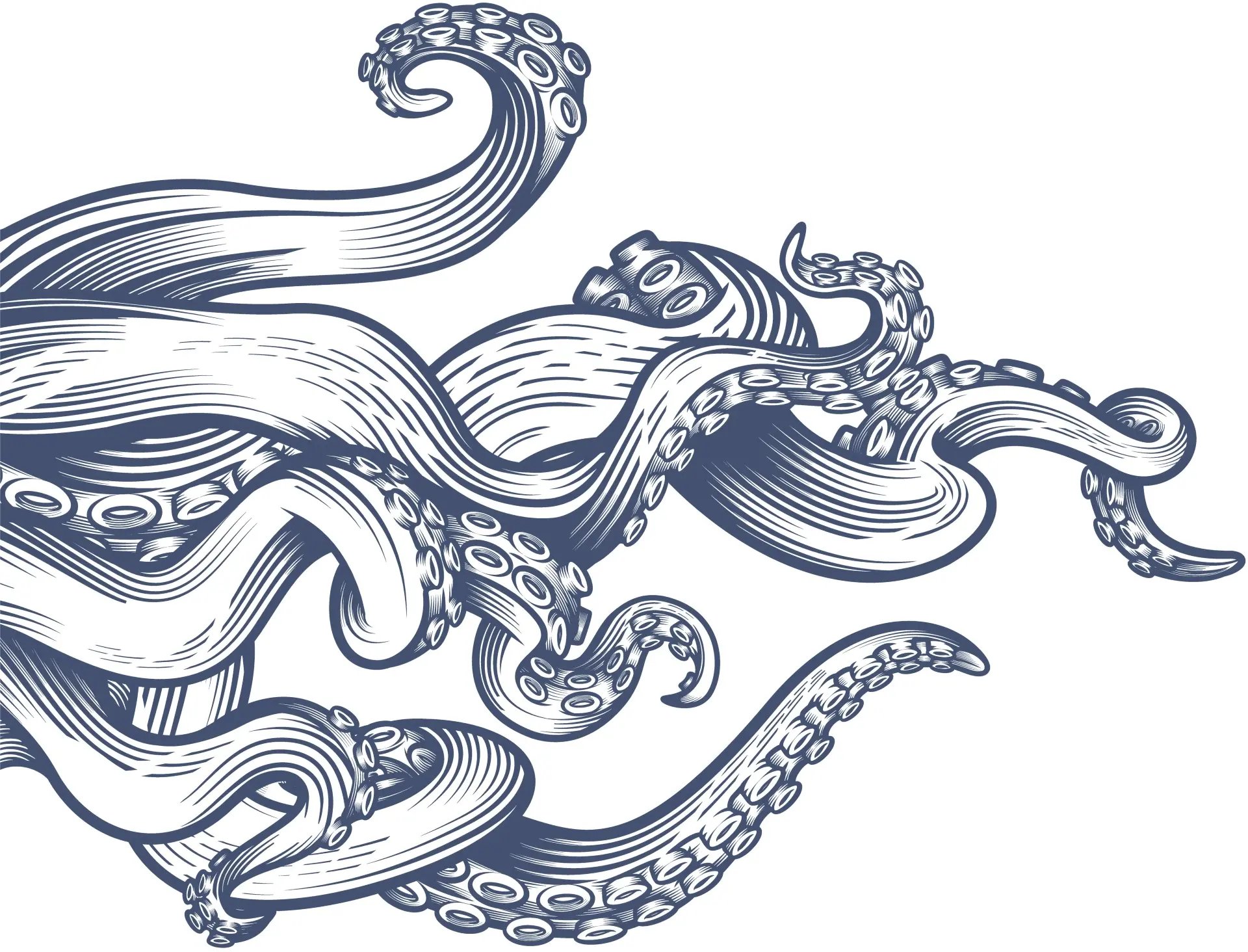 Tentacule